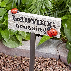 Ladybug Crossing Sign