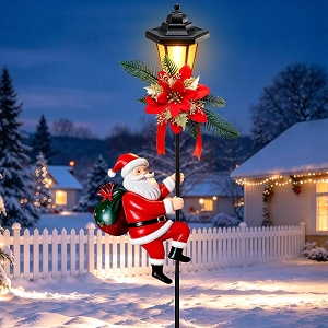Outdoor Christmas Decorations
