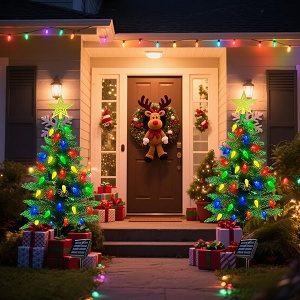 Lighted Outdoor Christmas Decorations
